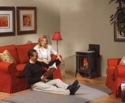 Napoleon GDS20E Arlington Electronic Ignition Direct Vent Cast Iron Stove -Heating Equipment Store arlington ls