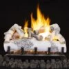 Superior ASHTONBIRCH Vented Ceramic Fiber Ashton White Birch Gas Log Set