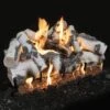 Grand Canyon Quaking Aspen Double Sided Vented Gas Log Set With Stainless Steel Burner