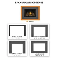 Napoleon GDIX3N-1 Oakville Series Electronic Ignition Direct Vent Gas Fireplace Insert -Heating Equipment Store backerplate options 10 19 1