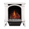 Napoleon GDS25-1 Bayfield Direct Vent Cast Iron Gas Stove