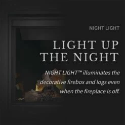 Napoleon BX42TRE Ascent X Series Electronic Ignition Direct Vent Gas Fireplace -Heating Equipment Store bx36tre config g 08 22