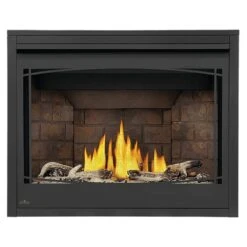 Napoleon BX42TRE Ascent X Series Electronic Ignition Direct Vent Gas Fireplace