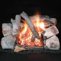 Rasmussen HB-C8 Chillbuster Evening Embers Ventless Double Burner With Birch Wood