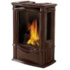 Napoleon Castlemore Direct Vent Cast Iron Gas Stove