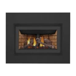 Napoleon GDIZC-NSB Inspiration ZC Series Millivolt Ignition Direct Vent Gas Fireplace Insert