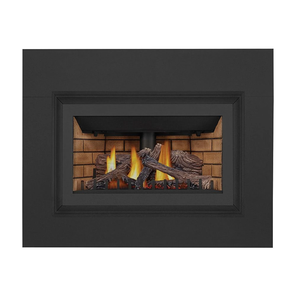 Napoleon GDIZC-NSB Inspiration ZC Series Millivolt Ignition Direct Vent Gas Fireplace Insert 1 Napoleon GDIZC-NSB Inspiration ZC Series Millivolt Ignition Direct Vent Gas Fireplace Insert