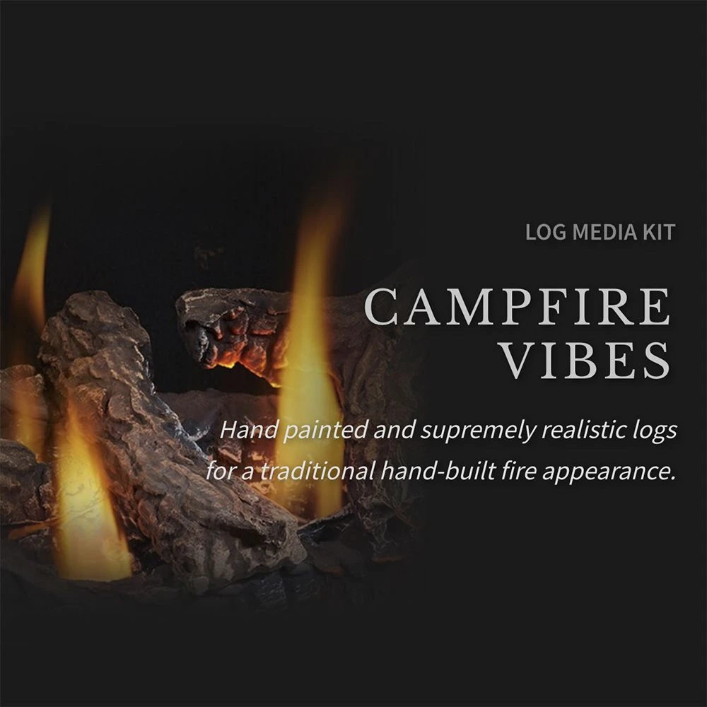 Napoleon GDS50-1NSB Havelock Millivolt Ignition Direct Vent Gas Stove 4 Napoleon GDS50-1NSB Havelock Millivolt Ignition Direct Vent Gas Stove - Image 4