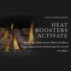 Napoleon GDS28-1NSB Haliburton Millivolt Ignition Direct Vent Gas Stove -Heating Equipment Store gds50 1nsb ls e 01 22 1