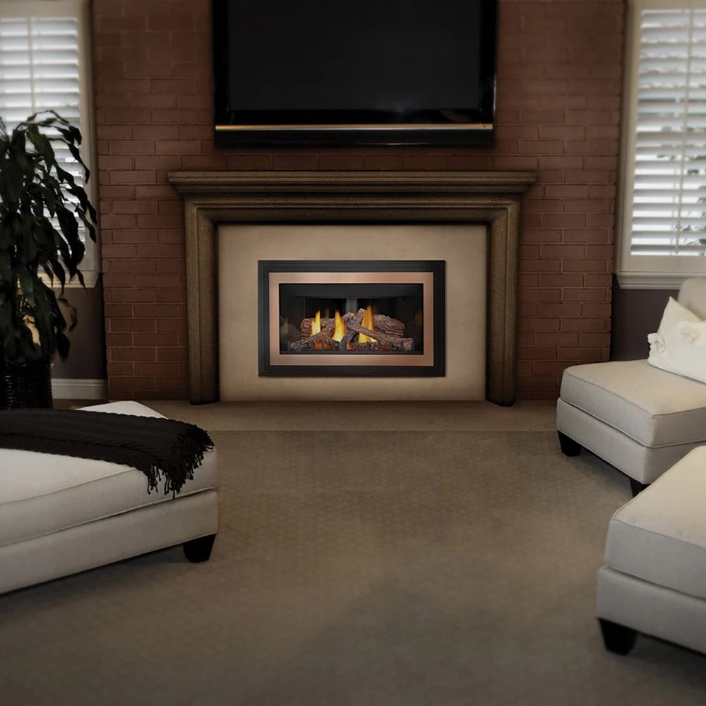 Napoleon GDIZC-NSB Inspiration ZC Series Millivolt Ignition Direct Vent Gas Fireplace Insert 2 Napoleon GDIZC-NSB Inspiration ZC Series Millivolt Ignition Direct Vent Gas Fireplace Insert - Image 2