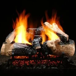 Hargrove Inferno See-Through Shallow Vented Gas Log Set With ANSI Certified Burner (HGISSSS-SSB-ANSI)