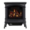 Napoleon Knightsbridge Direct Vent Cast Iron Gas Stove