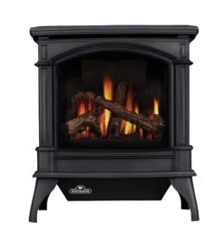 Napoleon Knightsbridge Direct Vent Cast Iron Gas Stove