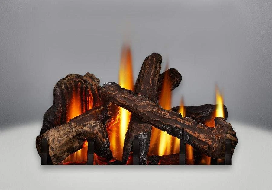 Napoleon Knightsbridge Direct Vent Cast Iron Gas Stove 2 Napoleon Knightsbridge Direct Vent Cast Iron Gas Stove - Image 2