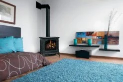 Napoleon GDS25NA-1 Bayfield Electronic Ignition Direct Vent Cast Iron Gas Stove -Heating Equipment Store knightsbridge ls 1