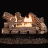 Superior LVDCHHD Vent-Free High-Density Fiber Crescent Hill Gas Log Set