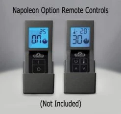 Napoleon GDS25-1 Bayfield Direct Vent Cast Iron Gas Stove -Heating Equipment Store optional millivolt remote controls